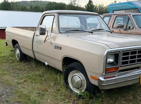 1984 Dodge D250