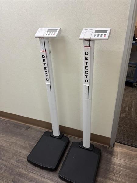 Detecto Scale (2 EA)