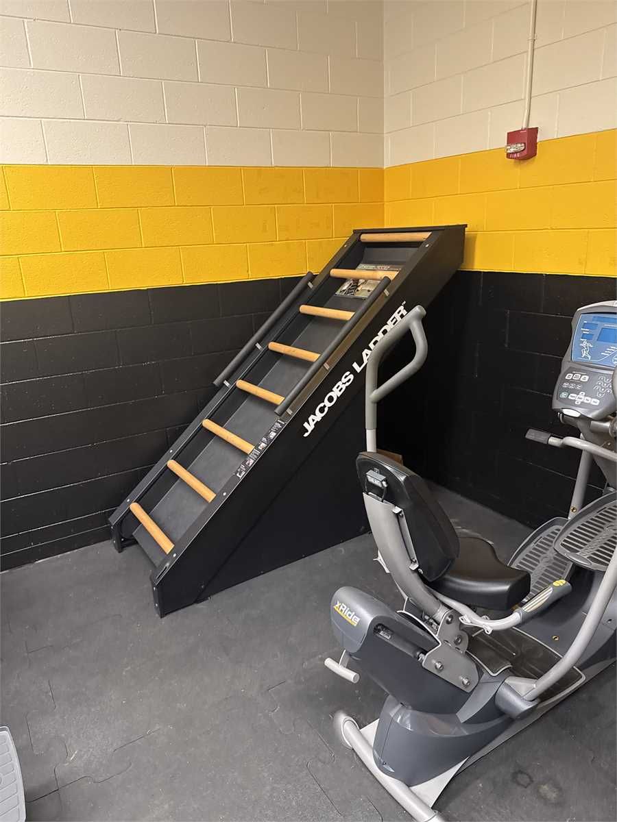 Jacobs Ladder Commercial Ladder Climbing Exercise Machine β photo 1
