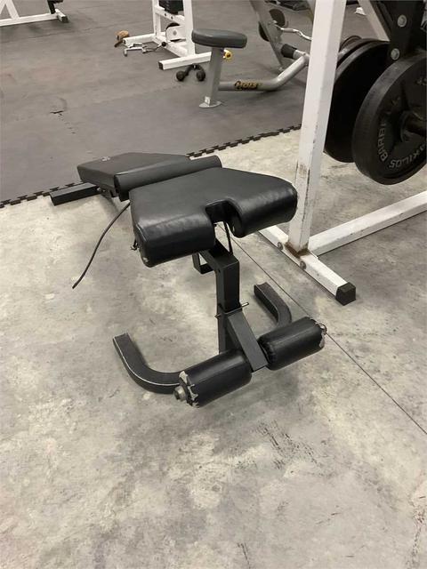Roman Chair / Back Extension Bench