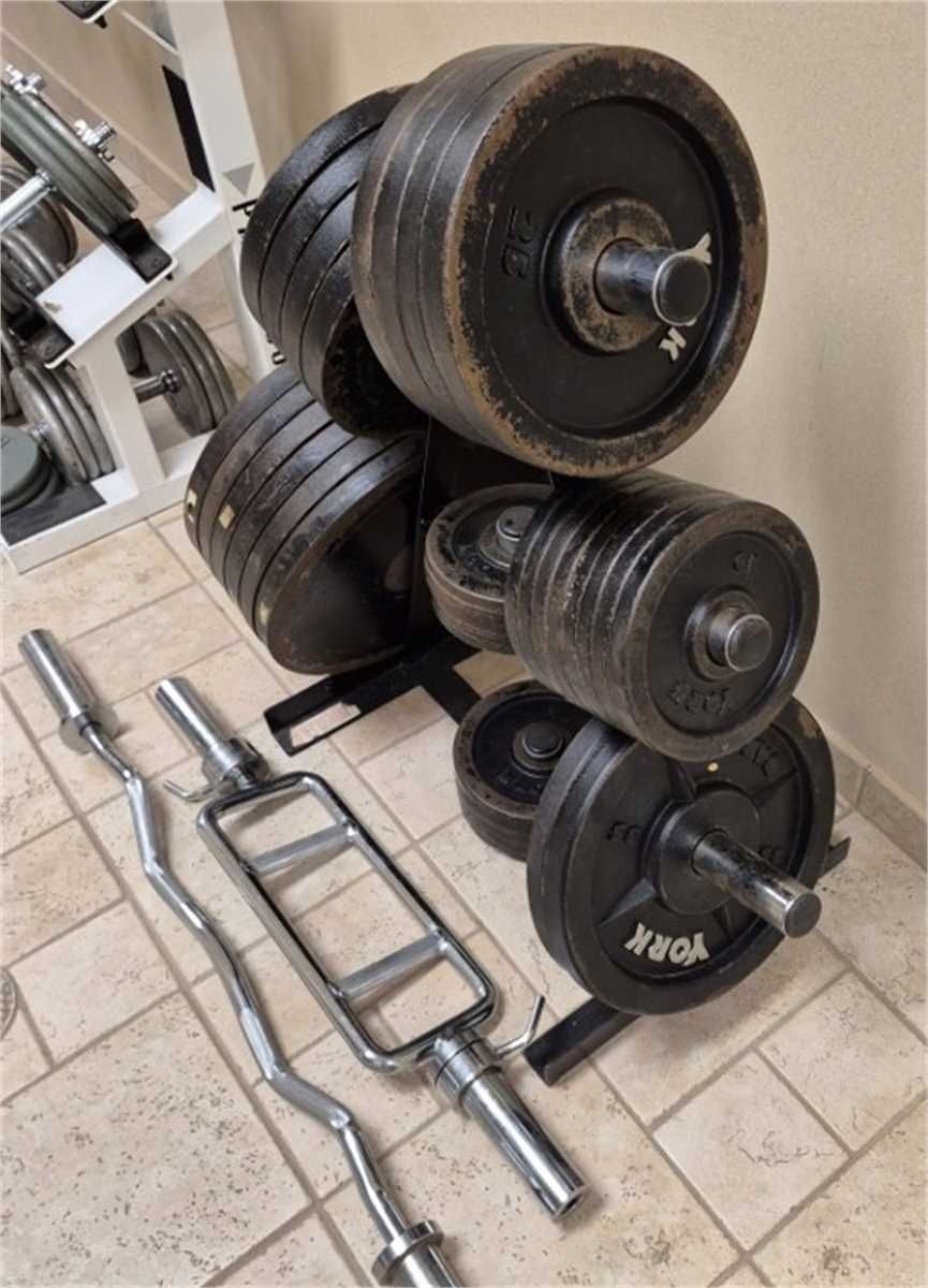 Assorted Olympic Weight Plates - photo 1
