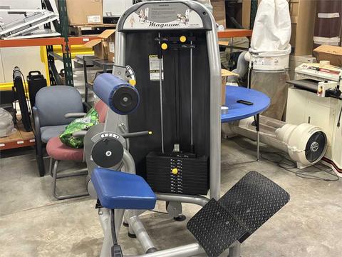Magnum Fitness Lower Back Machine with Plates