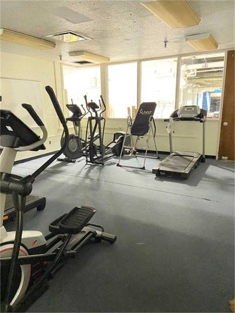 Cardio Equipment