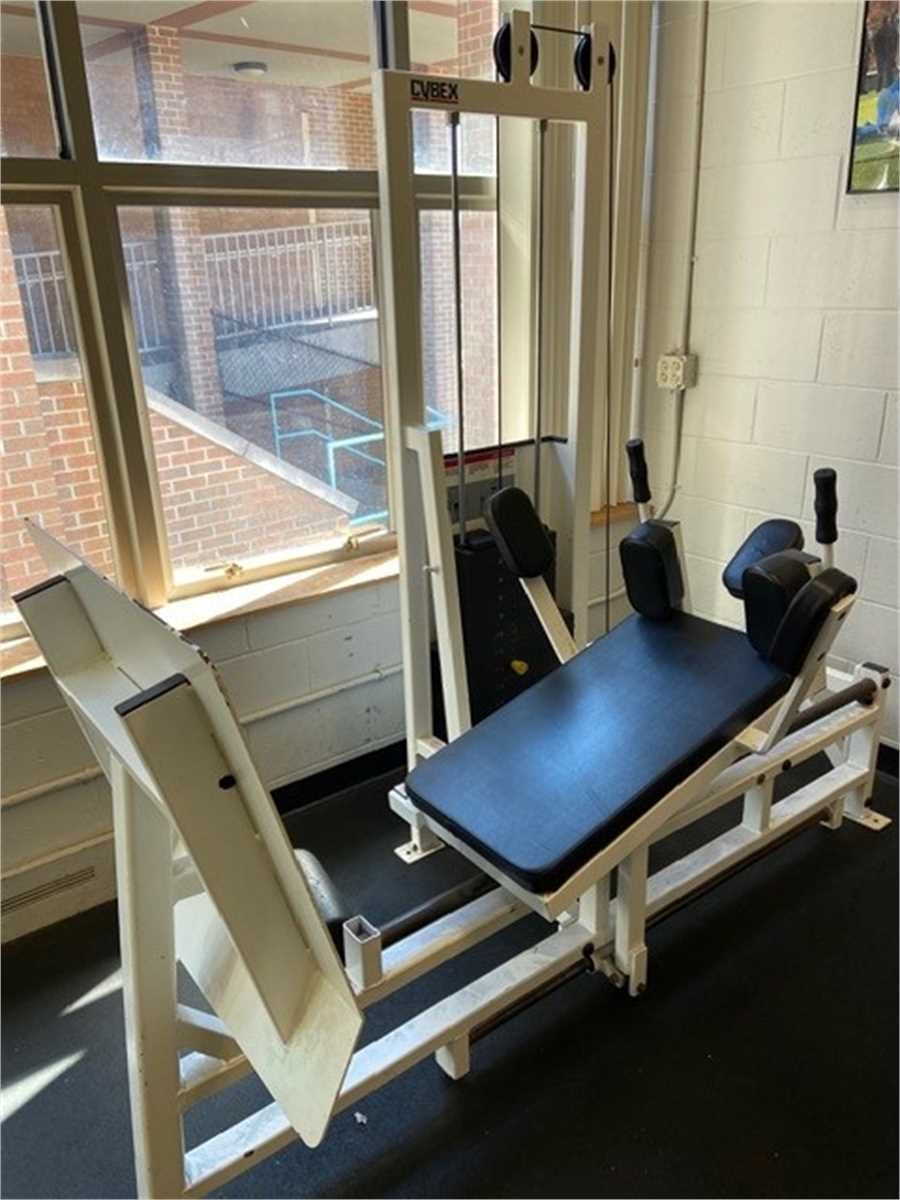 Cybex Chin-Hack Squat Machine - photo 1