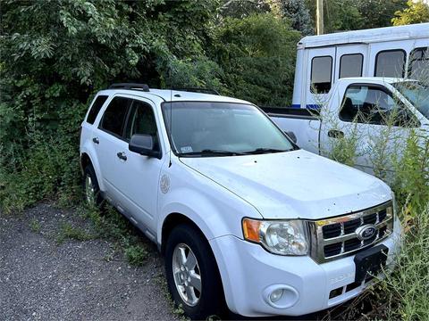 2010 White Ford Escape