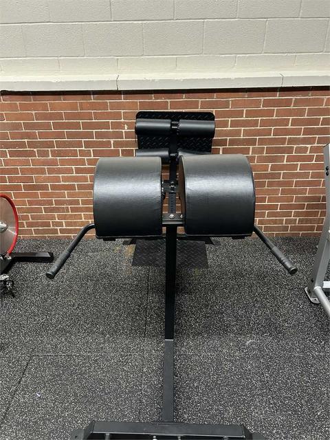 Dynamic Fitness & Strength - Back Extension and Curl Machine