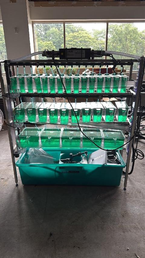 Harrisburg (Quantity One) Zebrafish Housing System