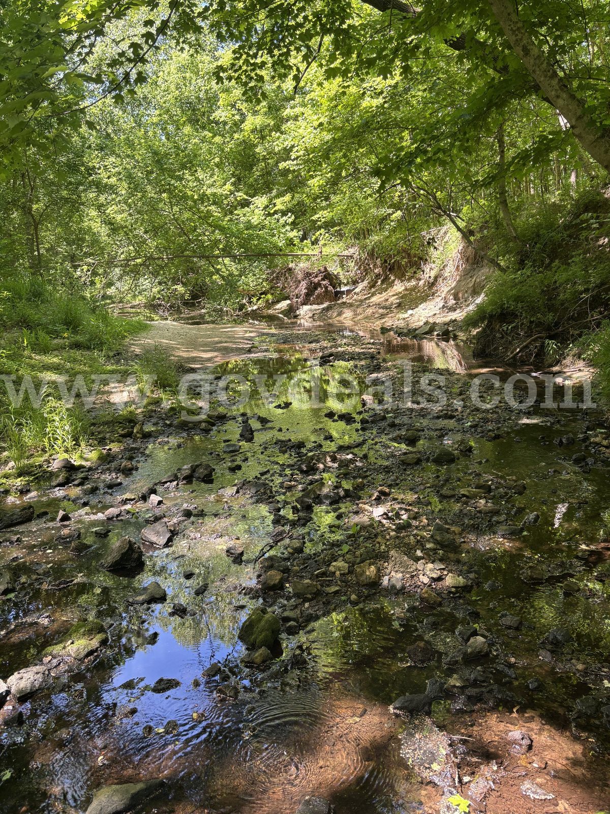 3.87 acres of Wooded Land in Cape Girardeau, Missouri, a US government surplus lot with no bids, in Jefferson City, MO