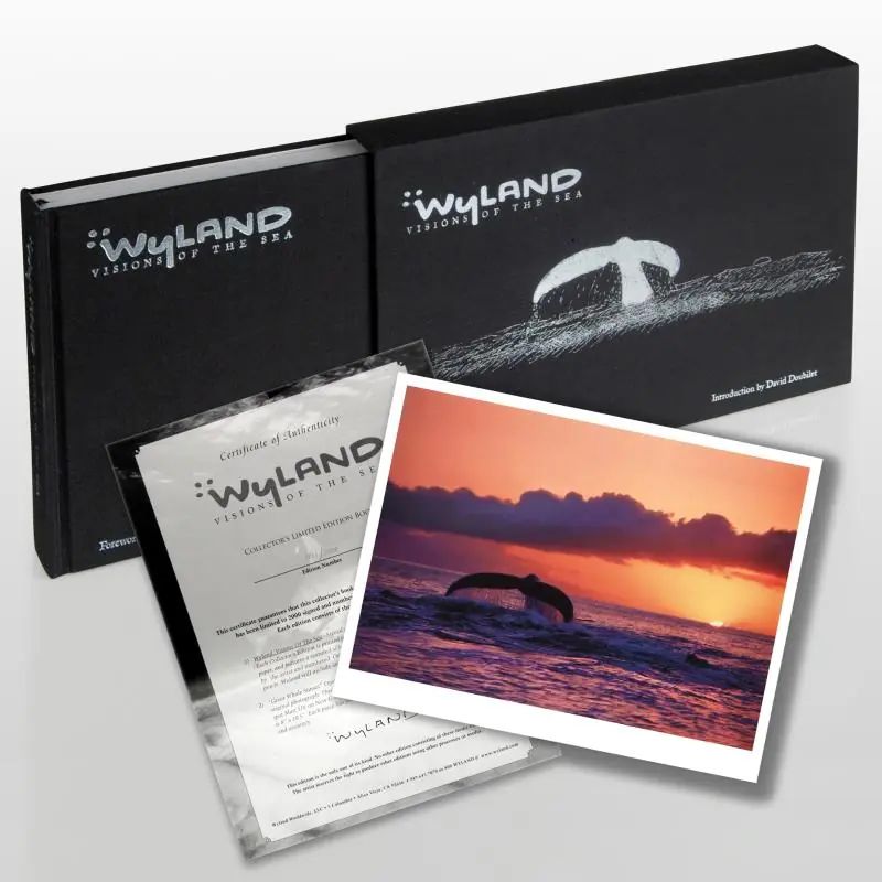 Wyland, "Visions Of The Sea" (2008) Limited Edition Collector's Fine Art Book by World-Renowned Artist Wyland, Hand Signed. COA - photo 1