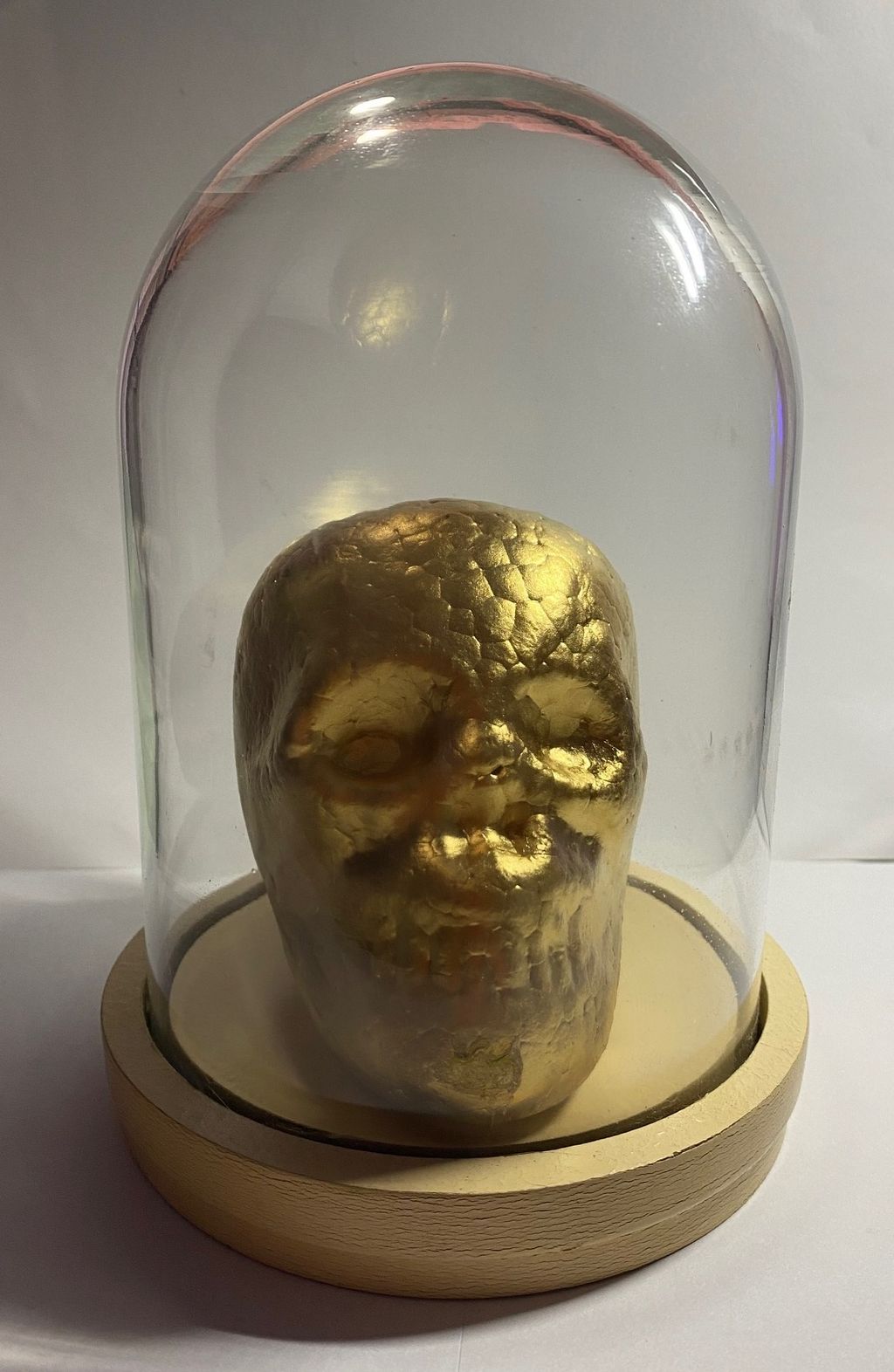 Skeleton Head in Glass Display — photo 1