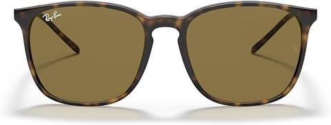 Ray-Ban RB4171 Erika Round Sunglasses