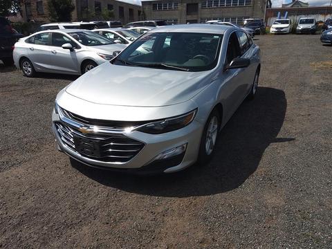 2019 Chevrolet Malibu