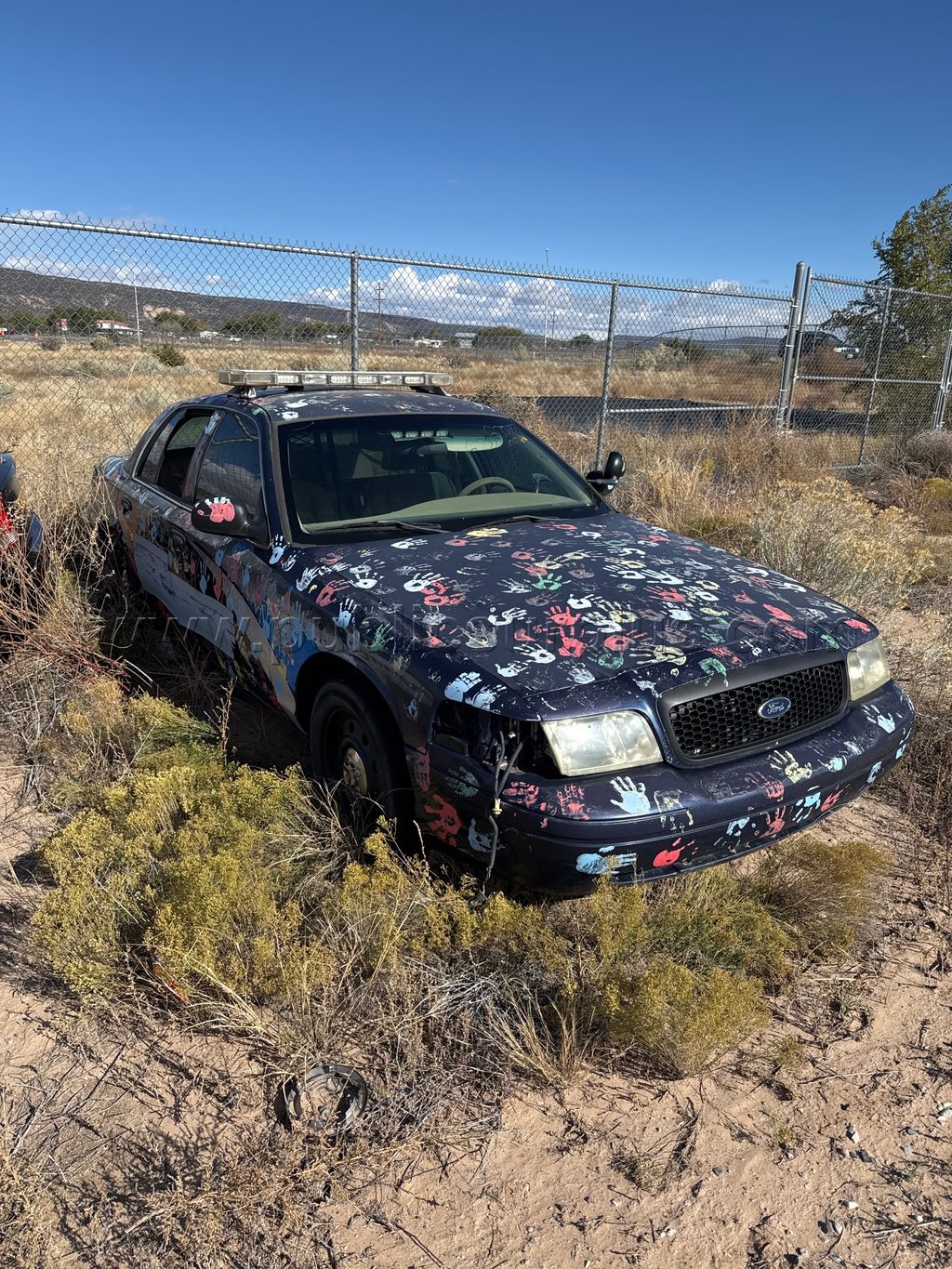 2009 Ford Crown Victoria — photo 1