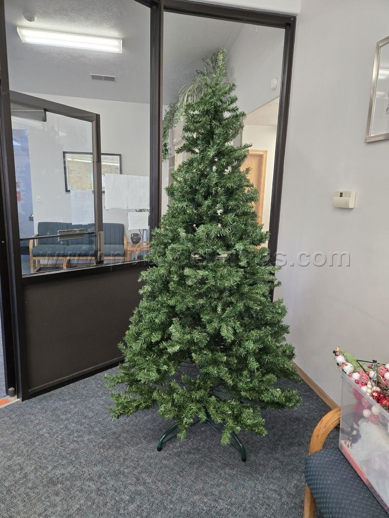 CHRISTMAS TREE — photo 1