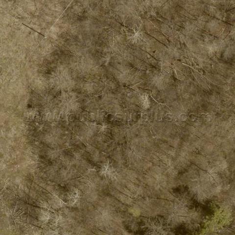 Tract 31: City of Duluth, Parcel 010-2920-00140, D22240135