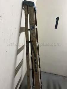 Werner 6 FT Fiberglass Step Ladder - 250 lb Capacity (Type I) — photo 1