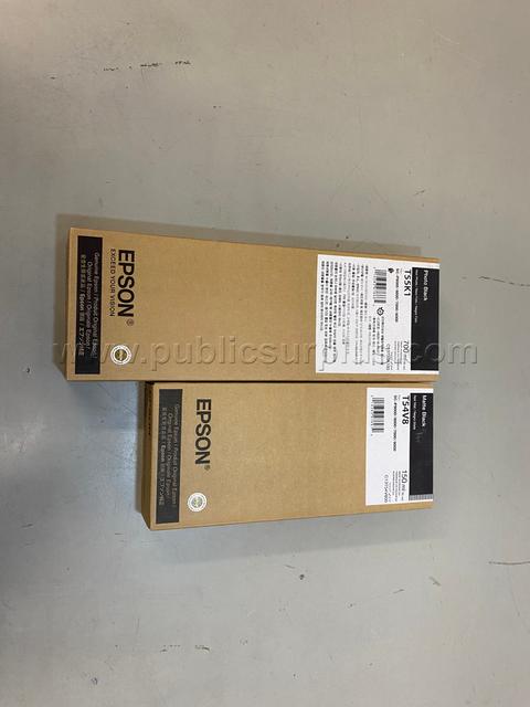 Lot of (2) Epson Ink Cartridges