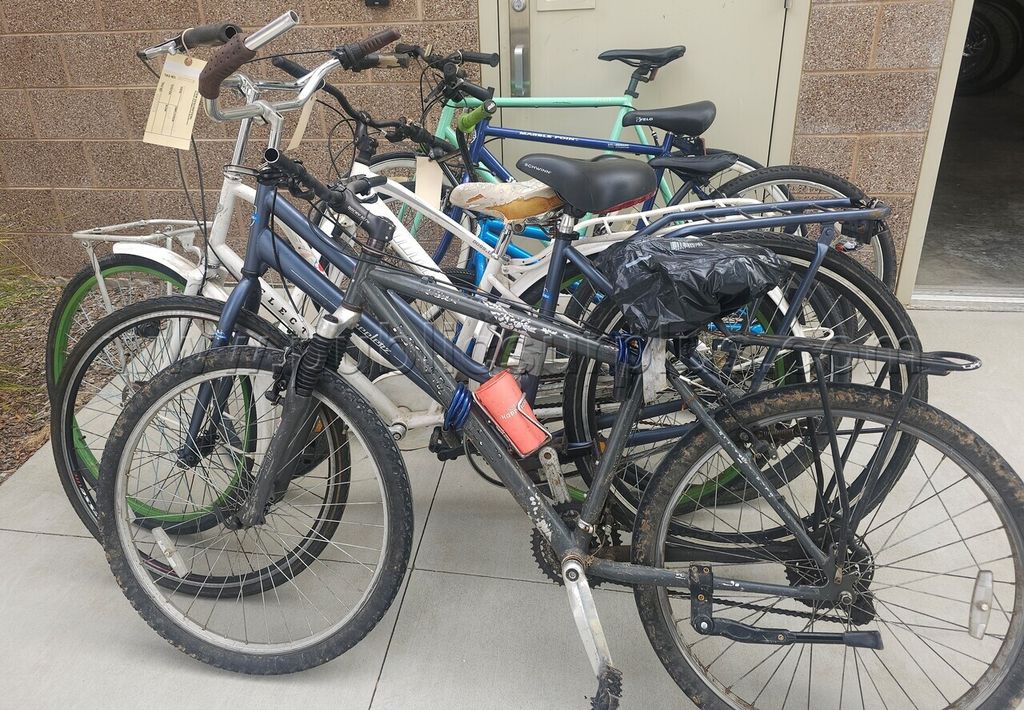 Lot of Bicycles January 2026 - photo 1