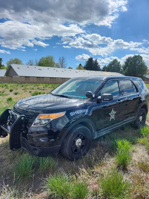2015 Ford Explorer Interceptor AWD (#7)