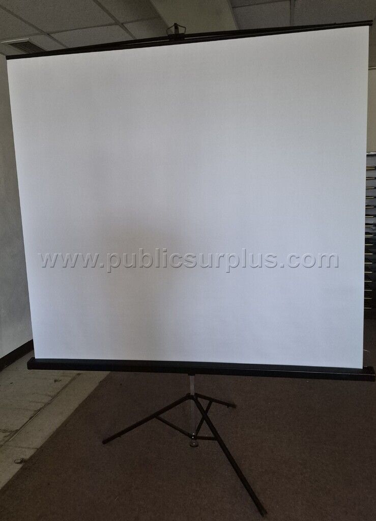 Bretford Projector Screen — photo 1