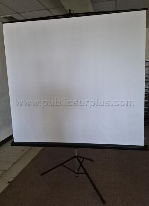 Bretford Projector Screen