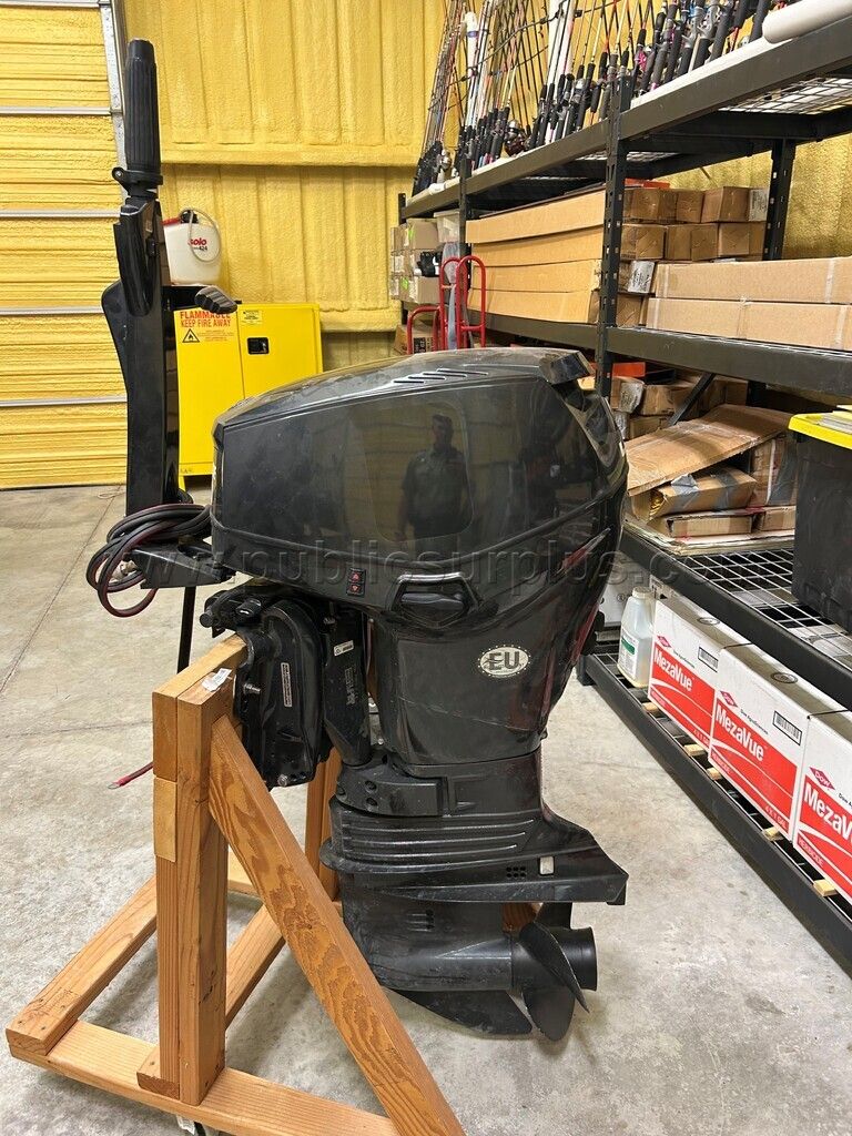 LOT 341 - 2018 Evinrude 40hp outboard - photo 1