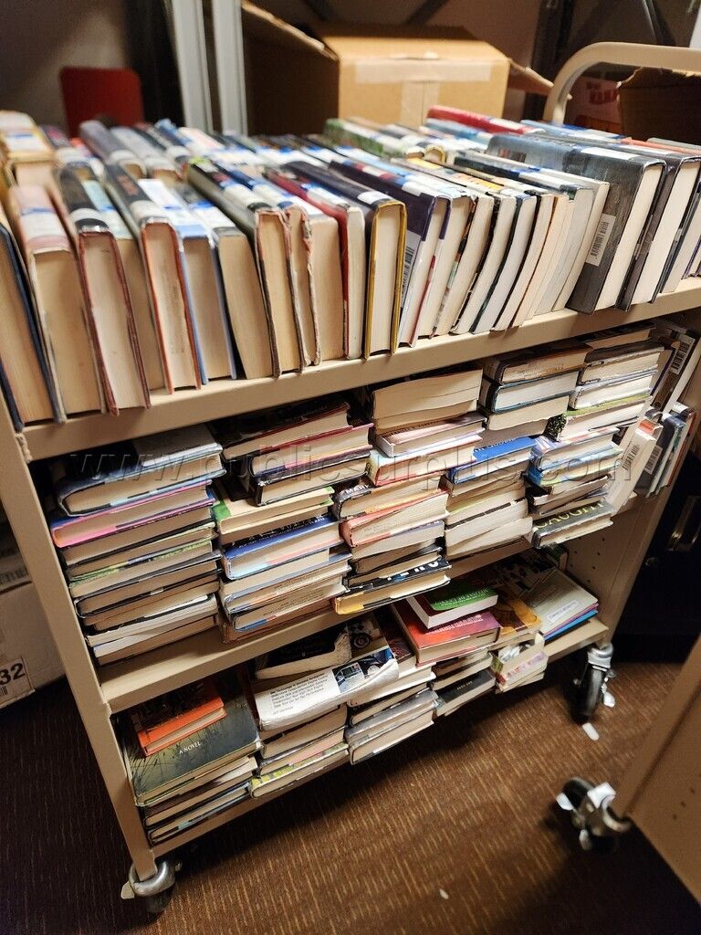 Books - Assorted library books ~ Lot of 524 — photo 1