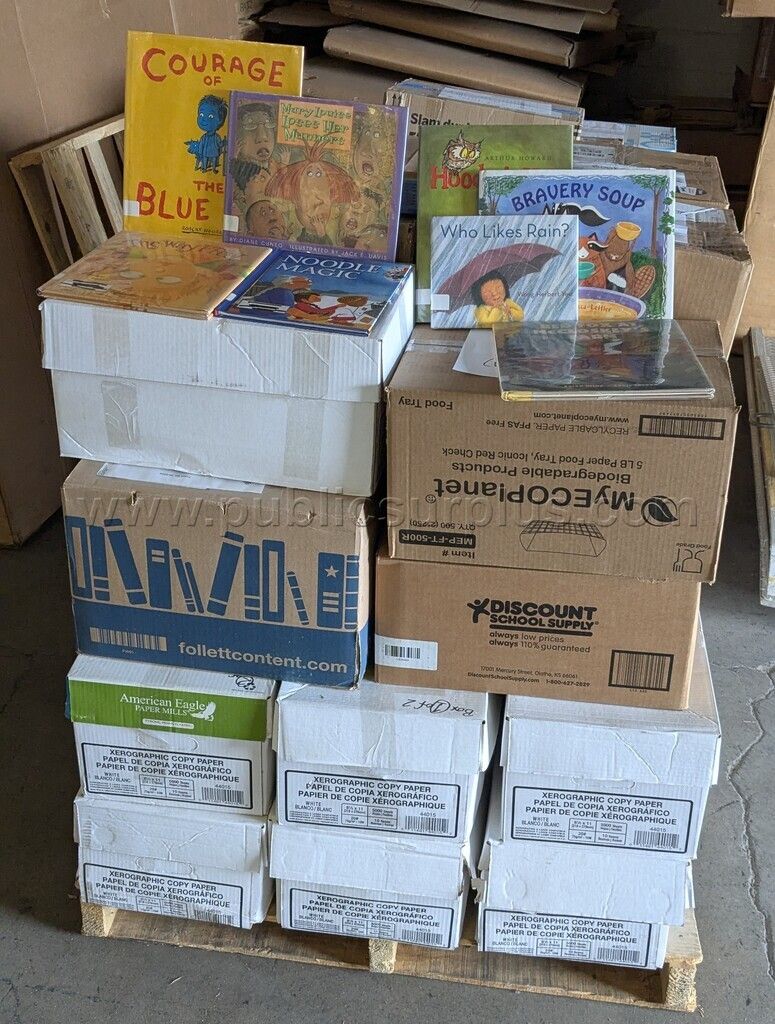 Book Lot: Weeded Library Books (#2019) — photo 1