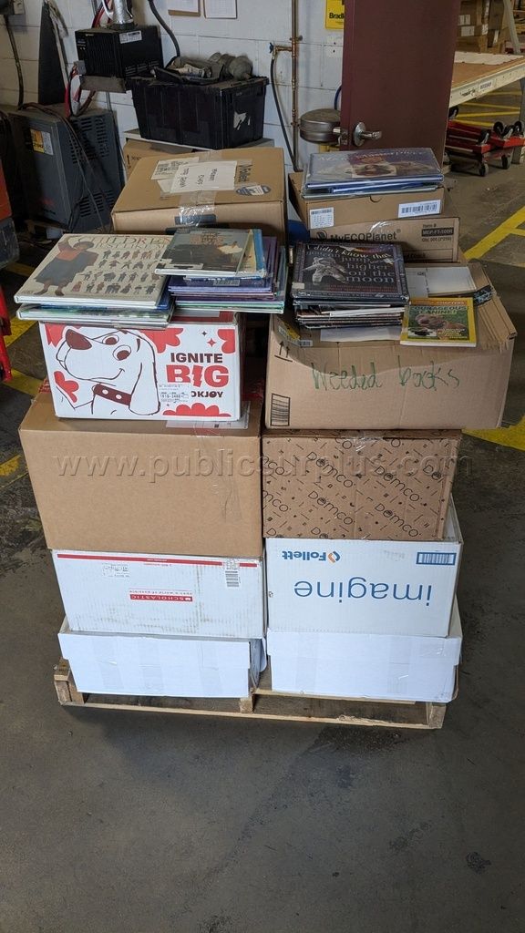 Book Lot: Weeded Library Books (#2020) — photo 1
