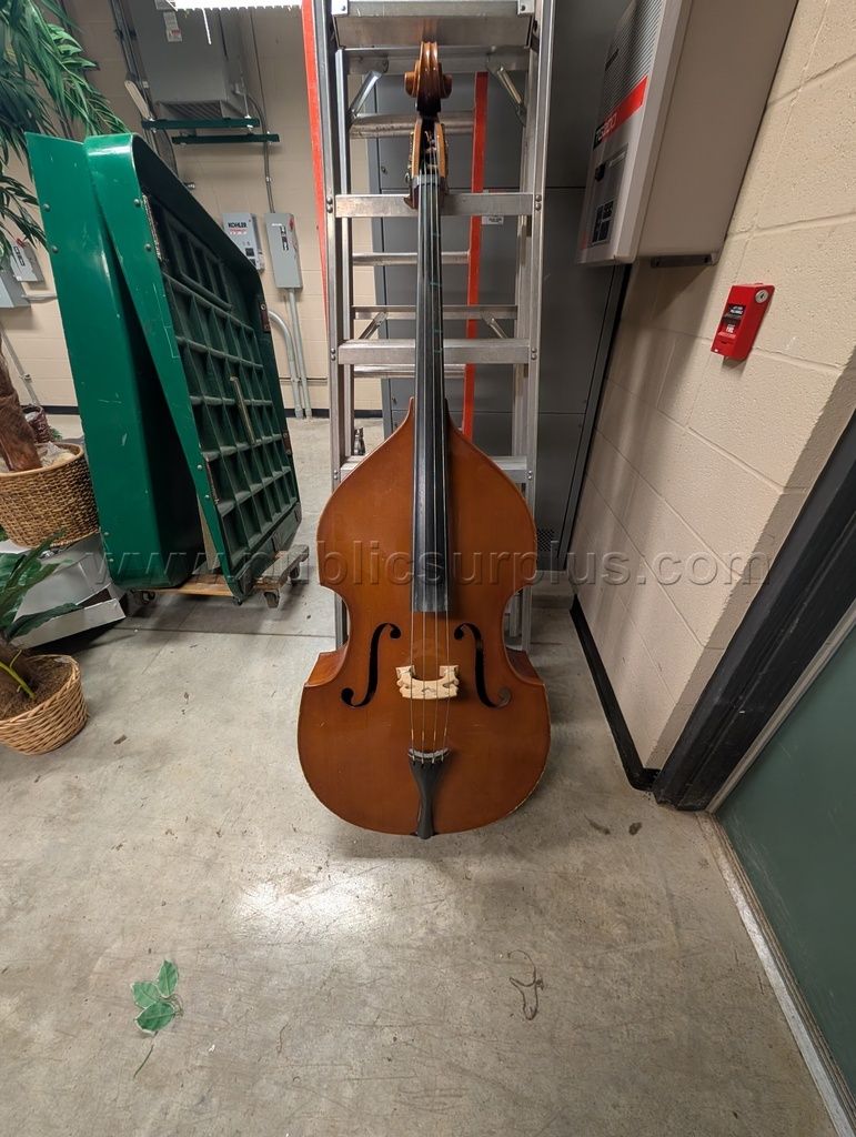 1965 Kay C-1 Upright Double Bass — photo 1