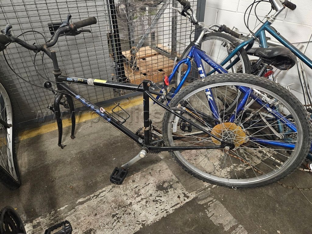 Univega Bike (107271) — photo 1