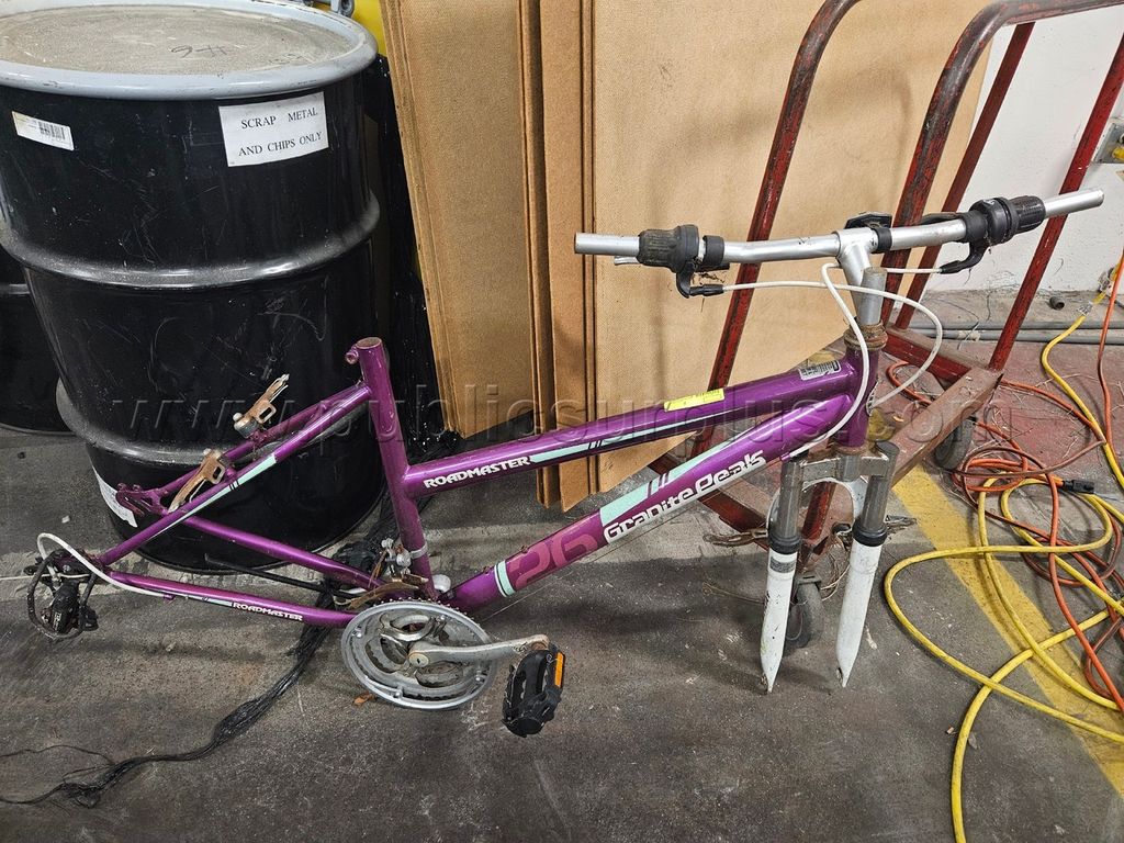 Roadmaster Bike (107285) — photo 1
