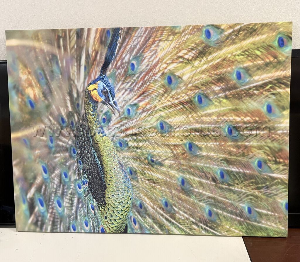 Auction#287- Peacock canvas — photo 1