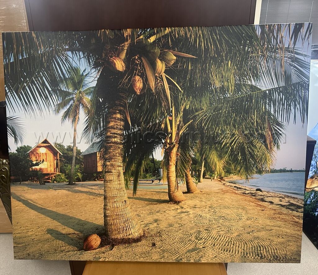 Auction#380- Tropical beach canvas — photo 1