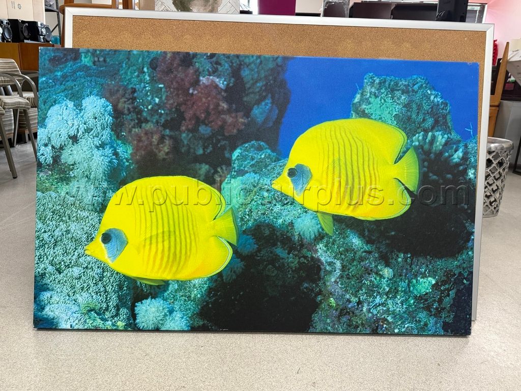 Auction#184- Fish canvas — photo 1