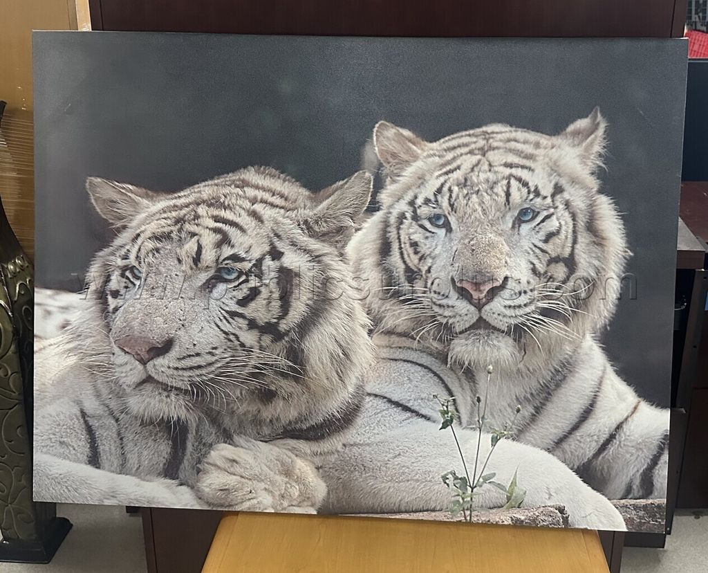 Auction#382- Two white tigers canvas — photo 1