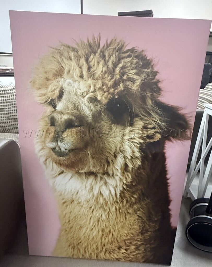 Auction#384- Alpaca canvas — photo 1