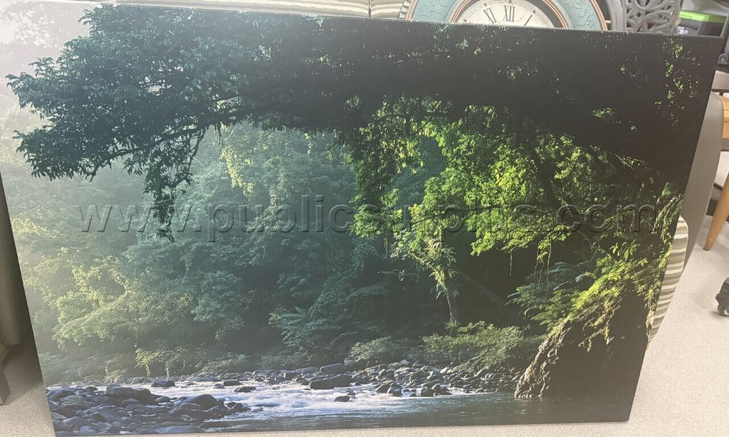 Auction#471- Rainforest canvas — photo 1