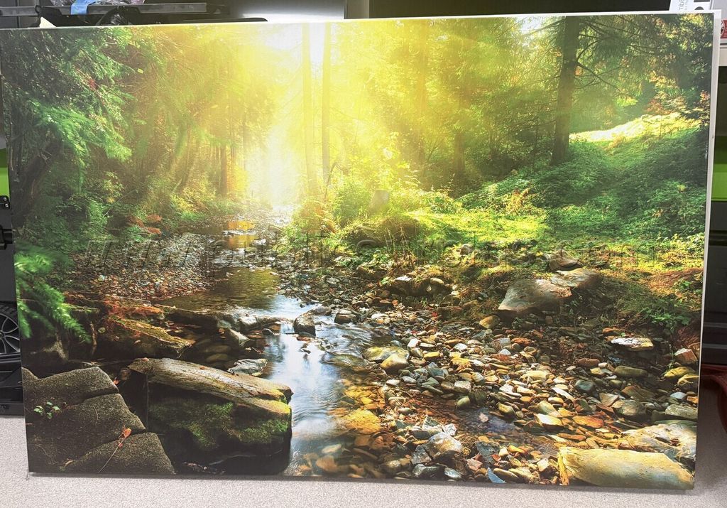 Auction#472- Stream in forest canvas — photo 1