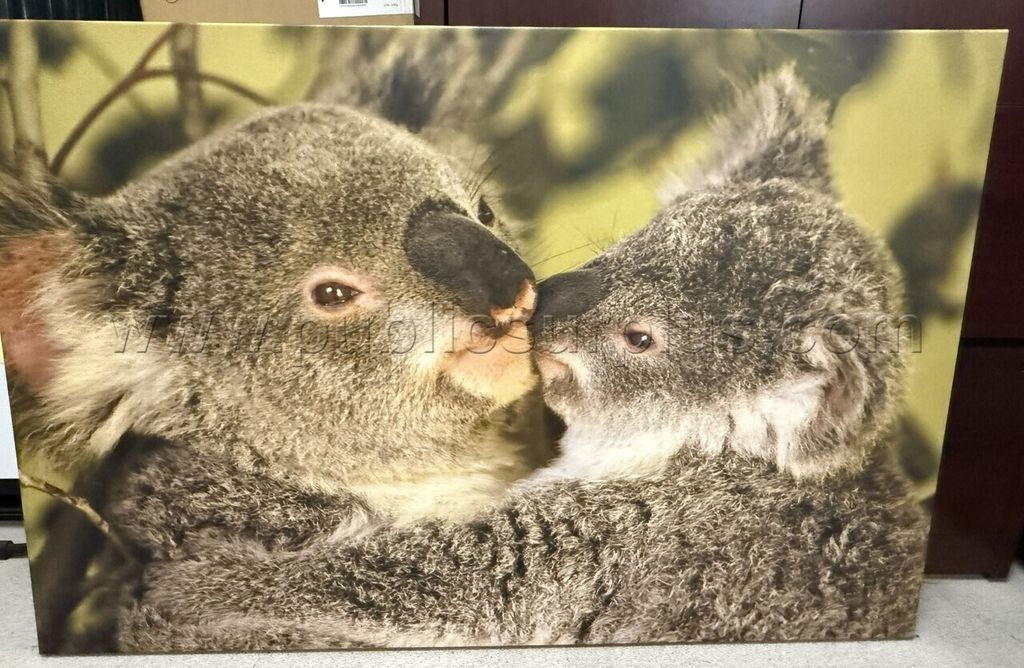 Auction#473-Koala's canvas — photo 1