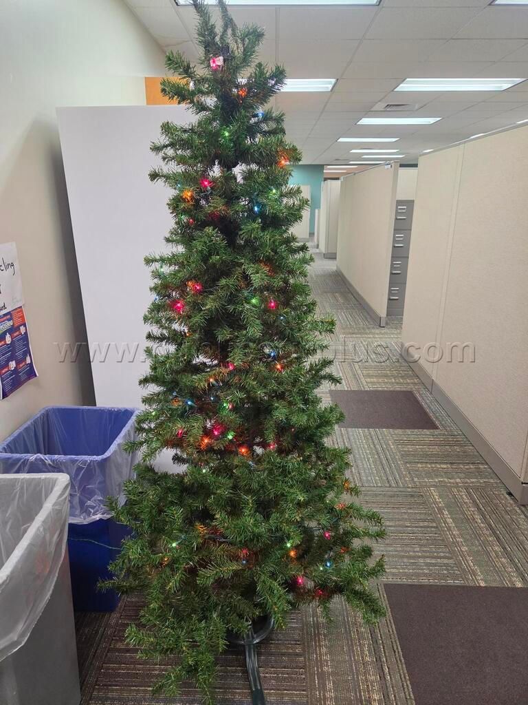 6' Christmas Tree — photo 1