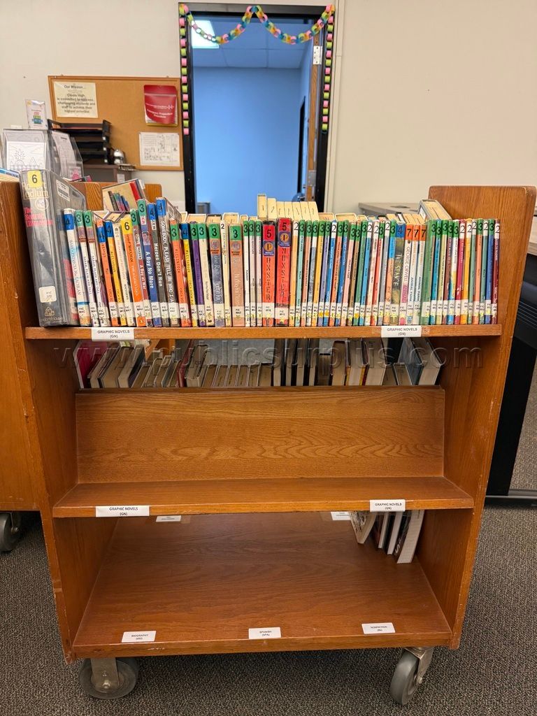 Outdated Library Books — photo 1