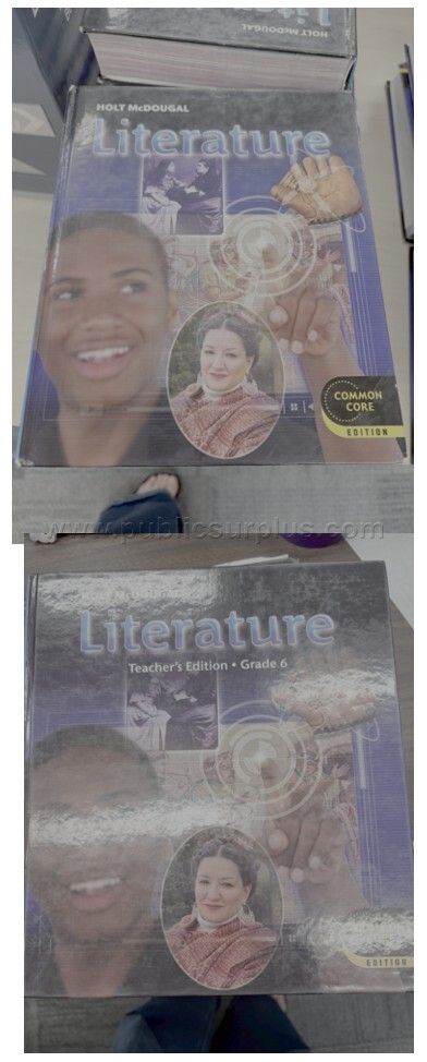 Hold McDougal Literature - Grade 6 — photo 1