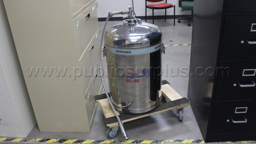 Wessington Cryogenics ES-60 Nitrogen Tank — photo 1