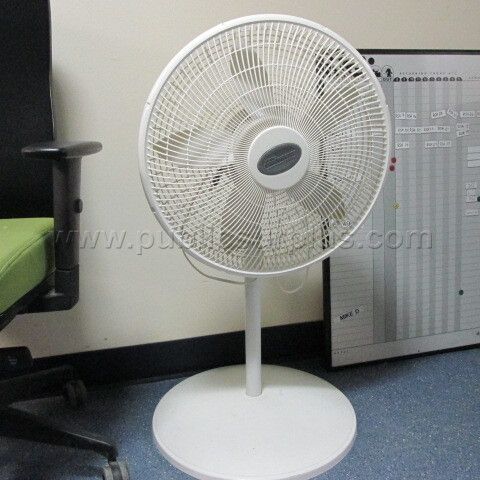 Large Fan — photo 1