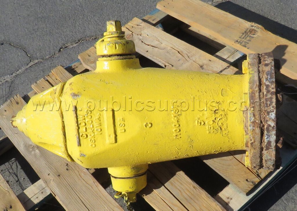 Fire Hydrant **Unknown Condition** — photo 1