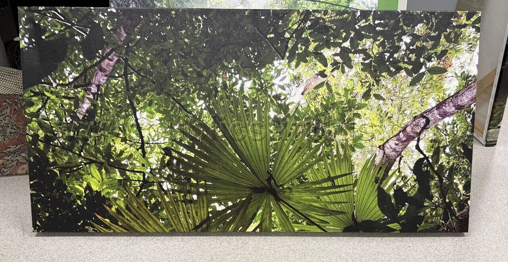 Auction#478- Tropical fan palm canvas — photo 1