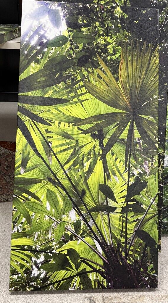 Auction#479- Beneath palm leaves canvas — photo 1