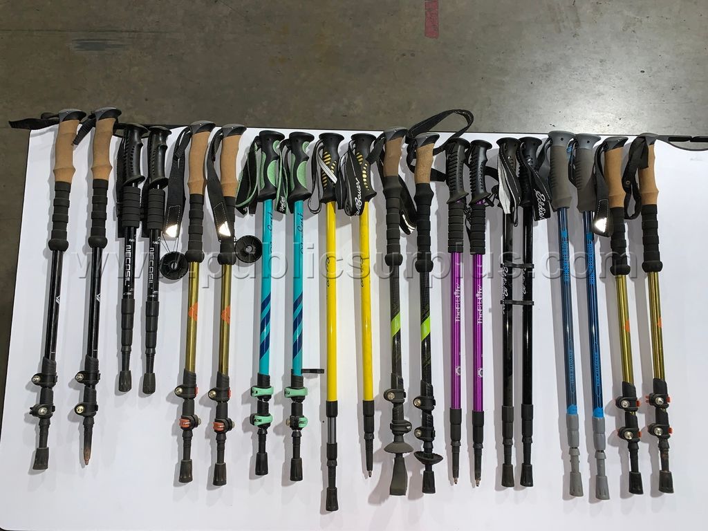 Walking Sticks /KK — photo 1