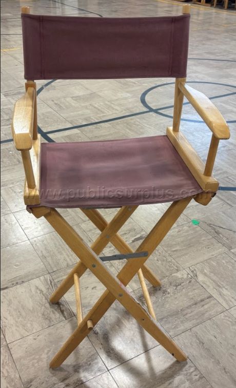 Director's Chair - photo 1